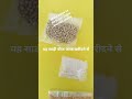 akshy tritiya ke din kya kharidna chahie #pili Rai #cotton #Kodi #short video #YouTube