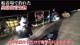 船着場で釣れる異常なる大きさの生物に釣り人一同騒然【一生に一度の怪物】