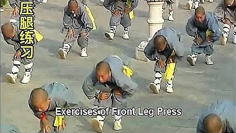 Shaolin Kung Fu BodyBuilding: flexibility and balance, basic level