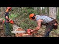 Wild new chainsaw muffler- bolted up and cutting trees