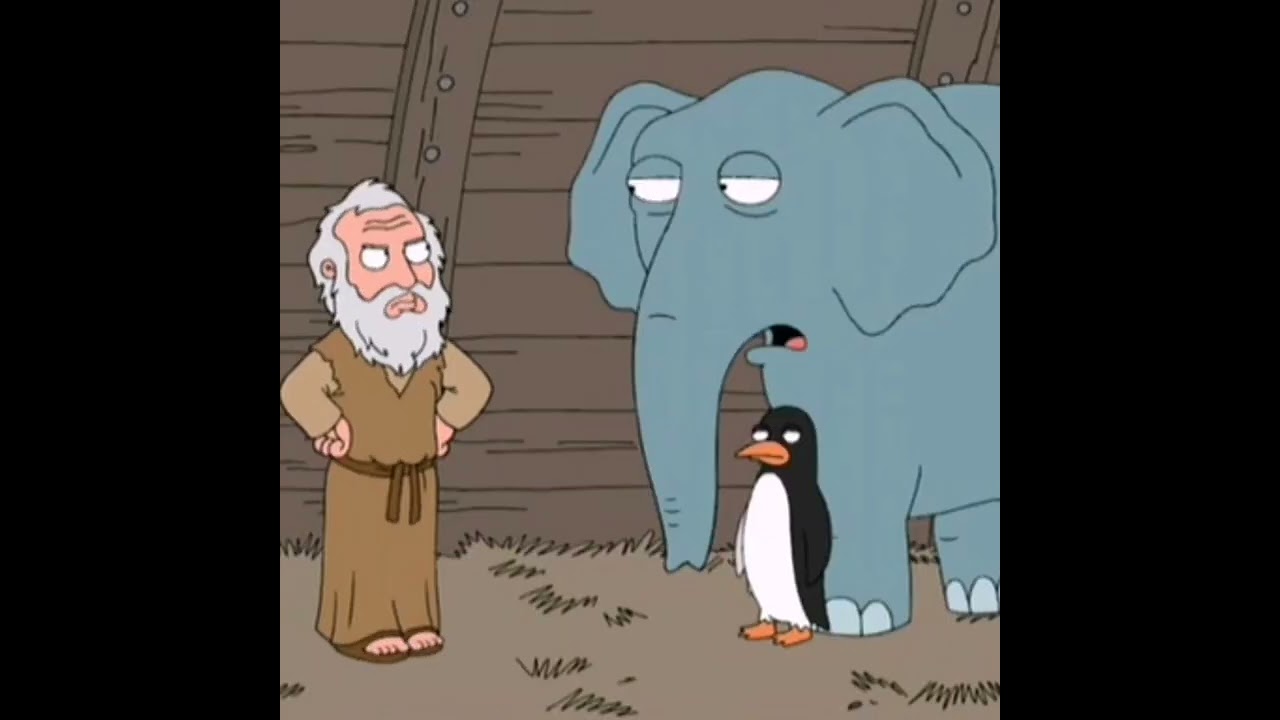 what the hell is that 😂😂😂