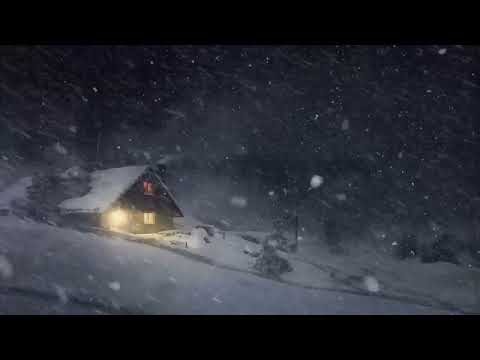 Blizzard at a Lonely Cabin in the Forest┇Howling Wind ┇Nature Sounds for Sleep, Study \u0026 Relaxation