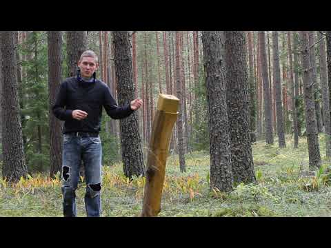 Video: Mis vahe on metsade hävitamisel ja kõrbestumisel?