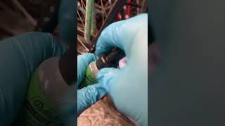 Rohloff Speedhub Oil Change Service