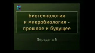 Передача 5. Строение клеток растений, животных и грибов