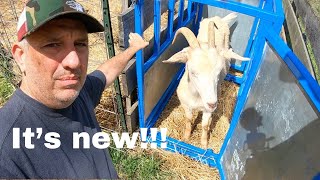 I bought a new goat working system and I cant wait to show it to you #goat #kikogoats #goatfarming