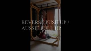 Homemade DIY Gym Rings Rack Basic Exercises