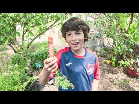 Garden and Generative Practices at Alta Vista School