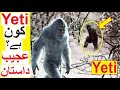 Yeti Kon Hai ? - Truth behind these Creatures