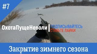 Охота на зайца. Эльдорадо. Закрытие зимнего сезона 2019. Охота на зайца. Эльдорадо. Закрытие зимнего сезона 2019.