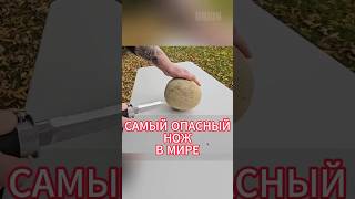 Защита от нападения диких зверей #охота #обзор