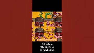 Collecting truffles from 240 pigs | Stardew Valley