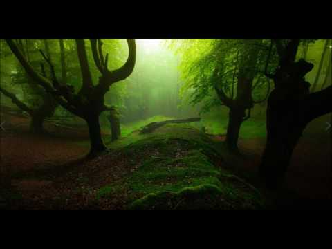 Beatfarmer - Until Next Morning (Stratosphere Remix)
