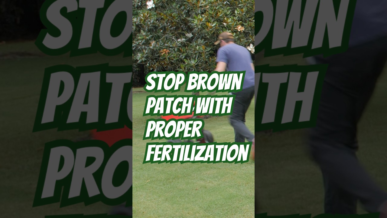 Stop Brown Patch This Summer with One Simple Change