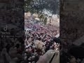 في افتتاح مول التوربيني ودولار في افتتاح مول التوربيني ودولار