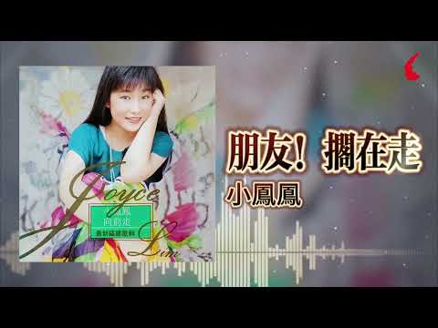 小鳳鳳『朋友！擱在走』官方歌詞版 | Official Lyric Video