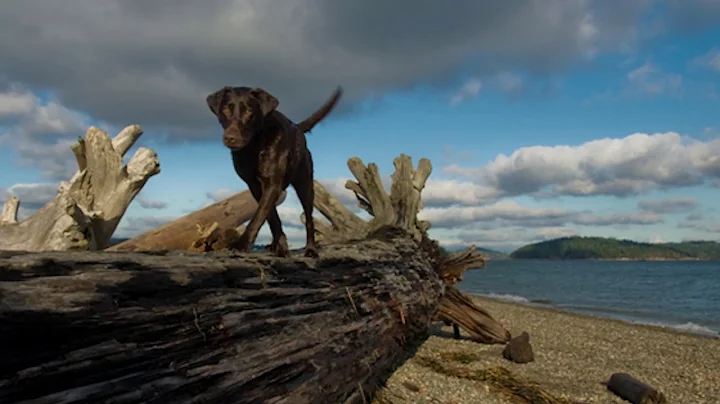 La Conner in Skagit Valley Washington