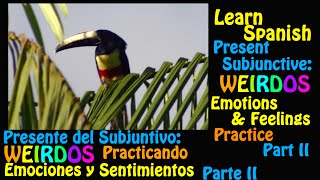Learn Spanish-  Present Subjunctive Emotions & Feelings (WEIRDOS) Practice Part II