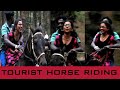 Tourist Horse Riding Kodaikanal