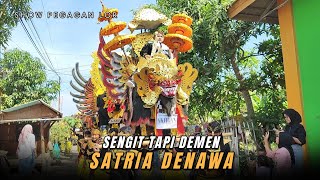 SENGIT TAPI DEMEN ‼️ SINGA DEPOK SATRIA DENAWA show PEGAGAN LOR Blok SERUT