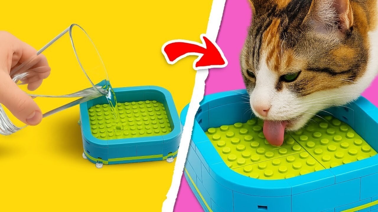 LEGO builds for MY CAT