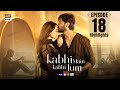 Kabhi Main Kabhi Tum Episode 18 Highlights Fahad Mustafa Hania Amir ARY Digital