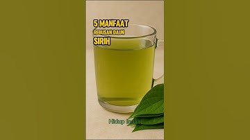 5 Manfaat Air Rebusan Daun Sirih #hidupindah