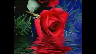 Siir Birer Birer F . Tura