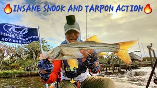 Insane Tarpon And Snook Action🔥Kayak Fishing By Sebastian Inlet!