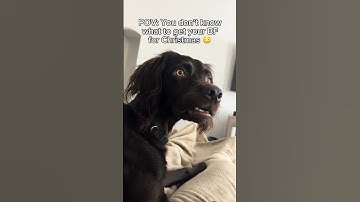 Problem solved ✅ #giftideas  #christmas #gaming #giftsforboyfriend #gifts #boyfriend#cars #cleaning