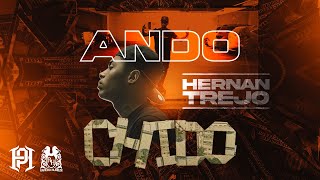 Hernan Trejo - Ando Chido [Official Video]