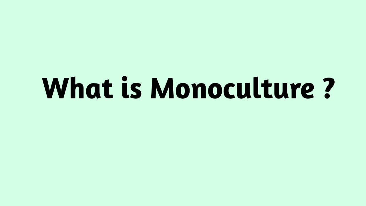 What is Monoculture ?