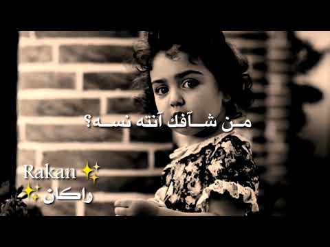 حالات واتساب عمرك سمعت بطير يحب سجانه