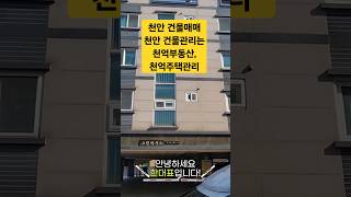건물매매도 건물관리도 천억부동산에서 천억주택관리에서 잘해드립니다. #천안부동산 #건물매매 #천안건물관리 #부동산 #천안건물매매