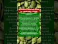 Лечение поражения печени и холецистита