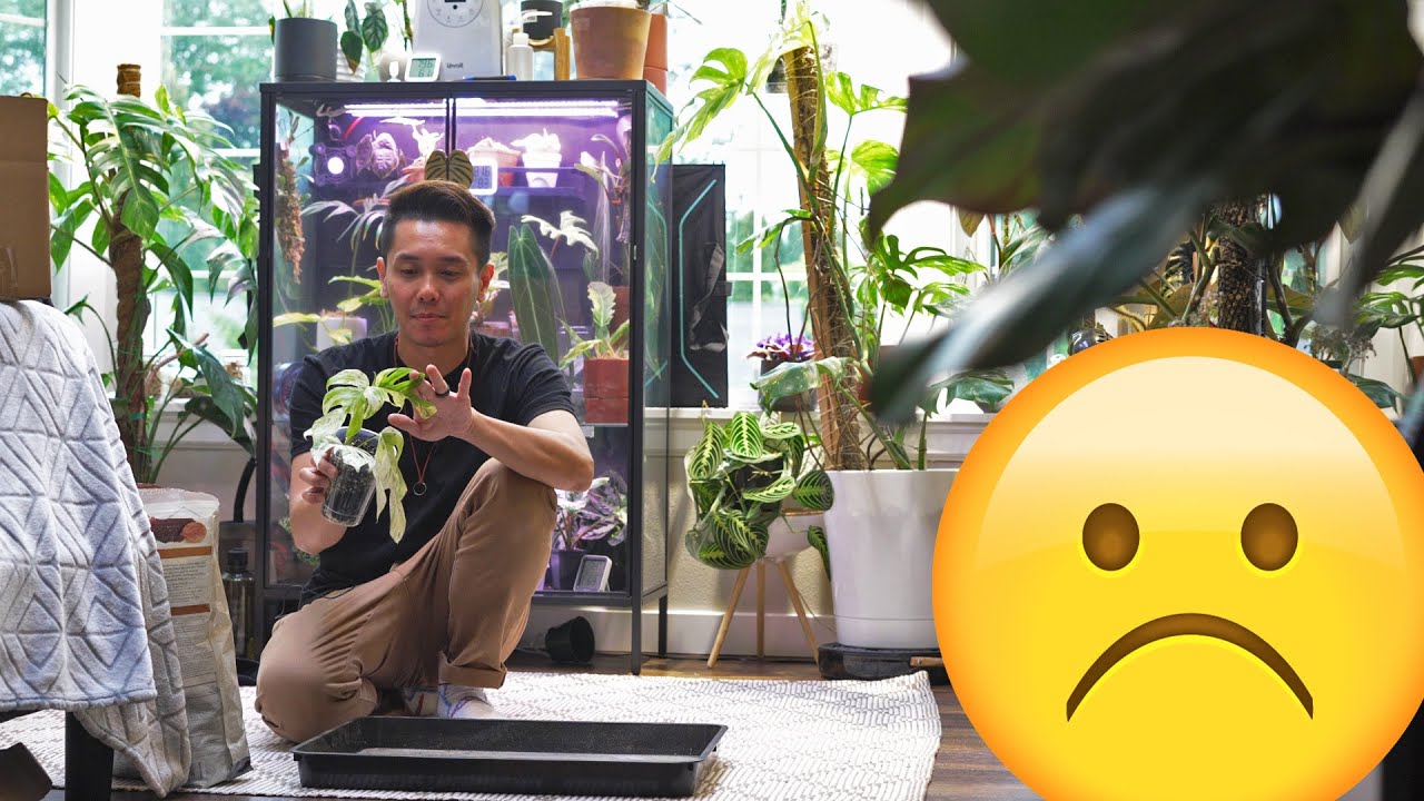 Well.. This isn't good. Plant Room Update