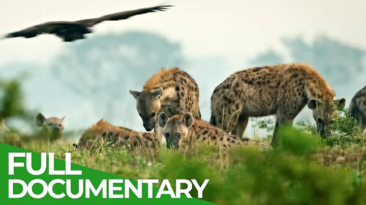 Wild Uganda – The Untamed Heart of Africa | Free Documentary Nature