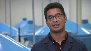 Perspectives on Asian Carp Prevention in Canada: Academic Scientist and Researcher @FisheriesCanada