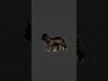 Ca Rigged Character - AI Rigged 3D Character