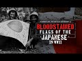 BLOODSTAINED FLAGS OF THE JAPANESE IN WWII!!! 🇯🇵 | American Artifact Episode 41