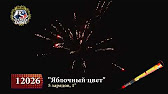 фиалка скарабей фото онлайн