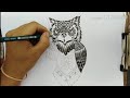Owl drawing #​ ການແຕ້ມລວດລາຍນົກເຄົ້າ / การวาดนกฮูก​ด้วยลวดลาย