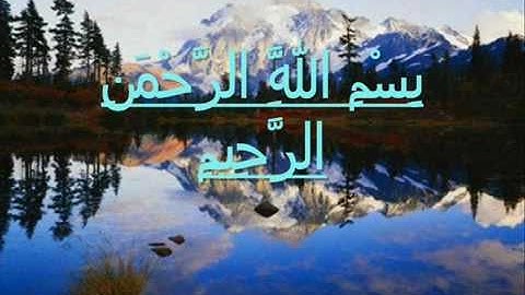 سورة الليل لمحمد برك ----(msh )