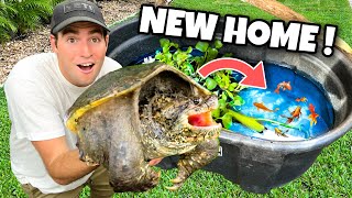 Pond Monster Gets A New Home !