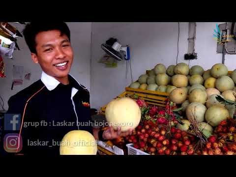 Inilah cara memilih buah melon yang benar