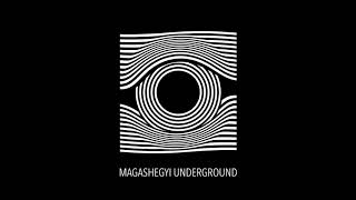 Vignette de la vidéo "Magashegyi Underground - Nem vagy magad (Tóth Krisztina: Kosztolányi hajszálai)"