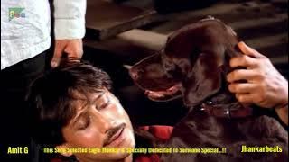 Teri Meherbaniyan - Title Song - ( Jhankar_Remix ) - 1985 Songs HD| Jaykie Shorrf, By Deewana Amit G