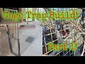 How to build a Cage trap for Bobcats! Part 1