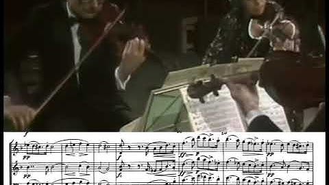 F. Schubert - Death and the Maiden String Quartet in D minor D 810 - Quartetto Italiano