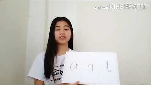 The Teaching Tools for the Elementary Grades (Presentation)